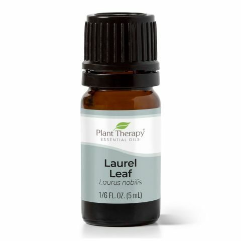 Plant Therapy 月桂 Laurel Leaf 精油 5ml