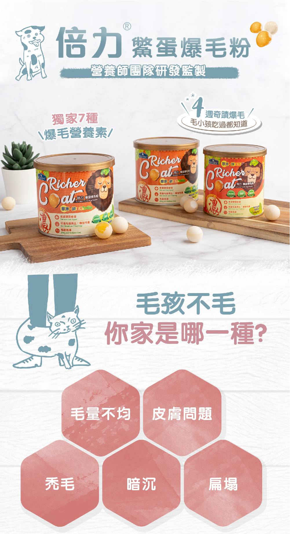 Blue Bay 倍力鱉蛋爆毛粉 180g (貓狗適用)