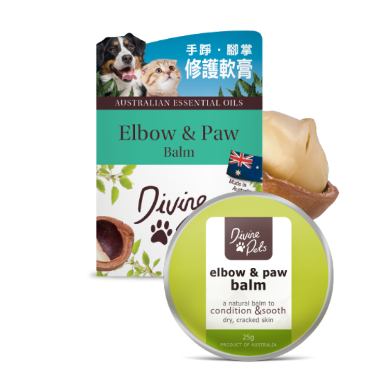Divine Pets ELBOW AND PAW BALM 25g