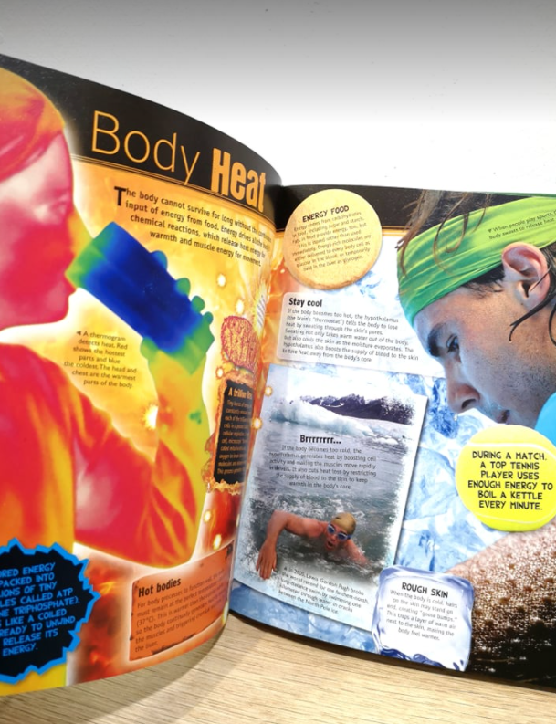 Discover The Awesome World