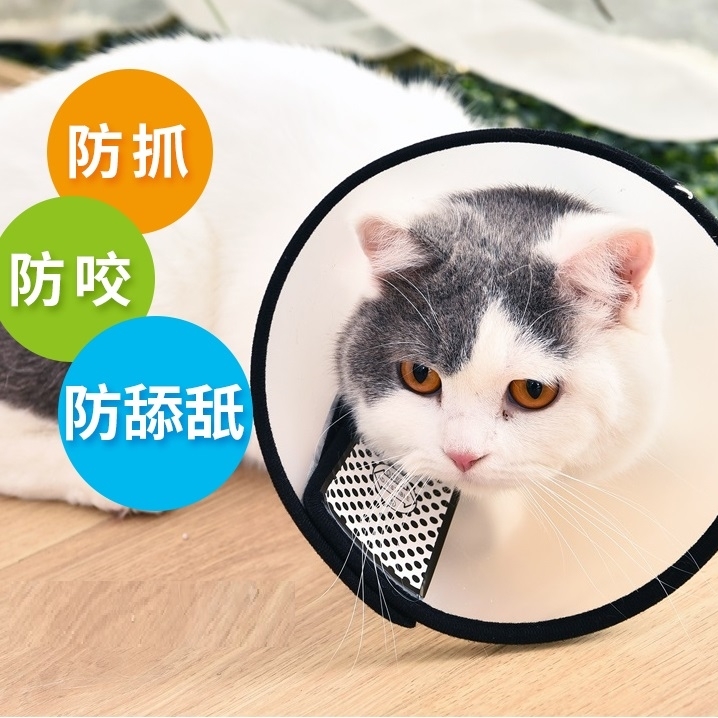 Elizabeth Collar (Velcro)