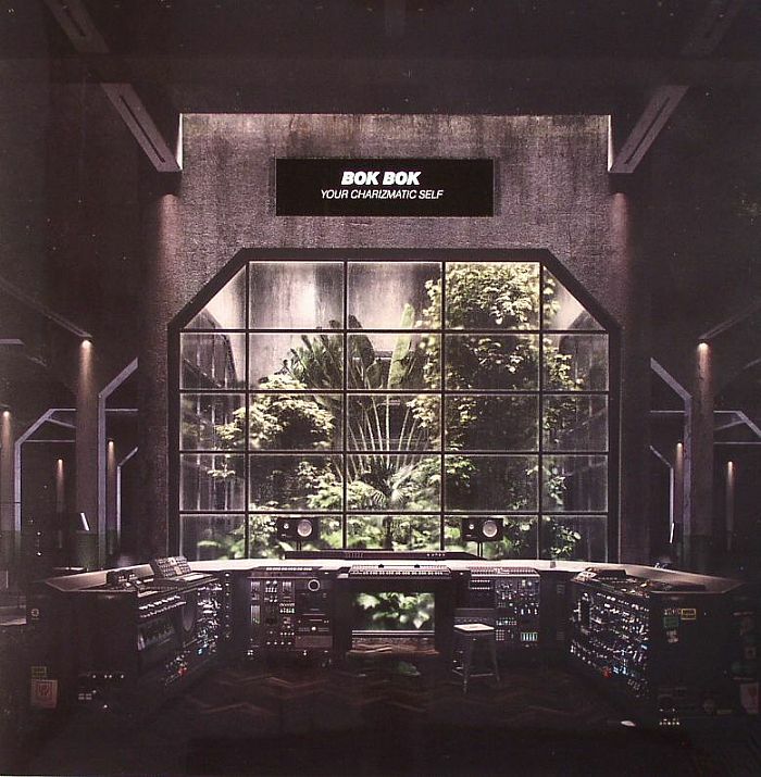 Bok Bok《Your Charizmatic Self》（2LP）