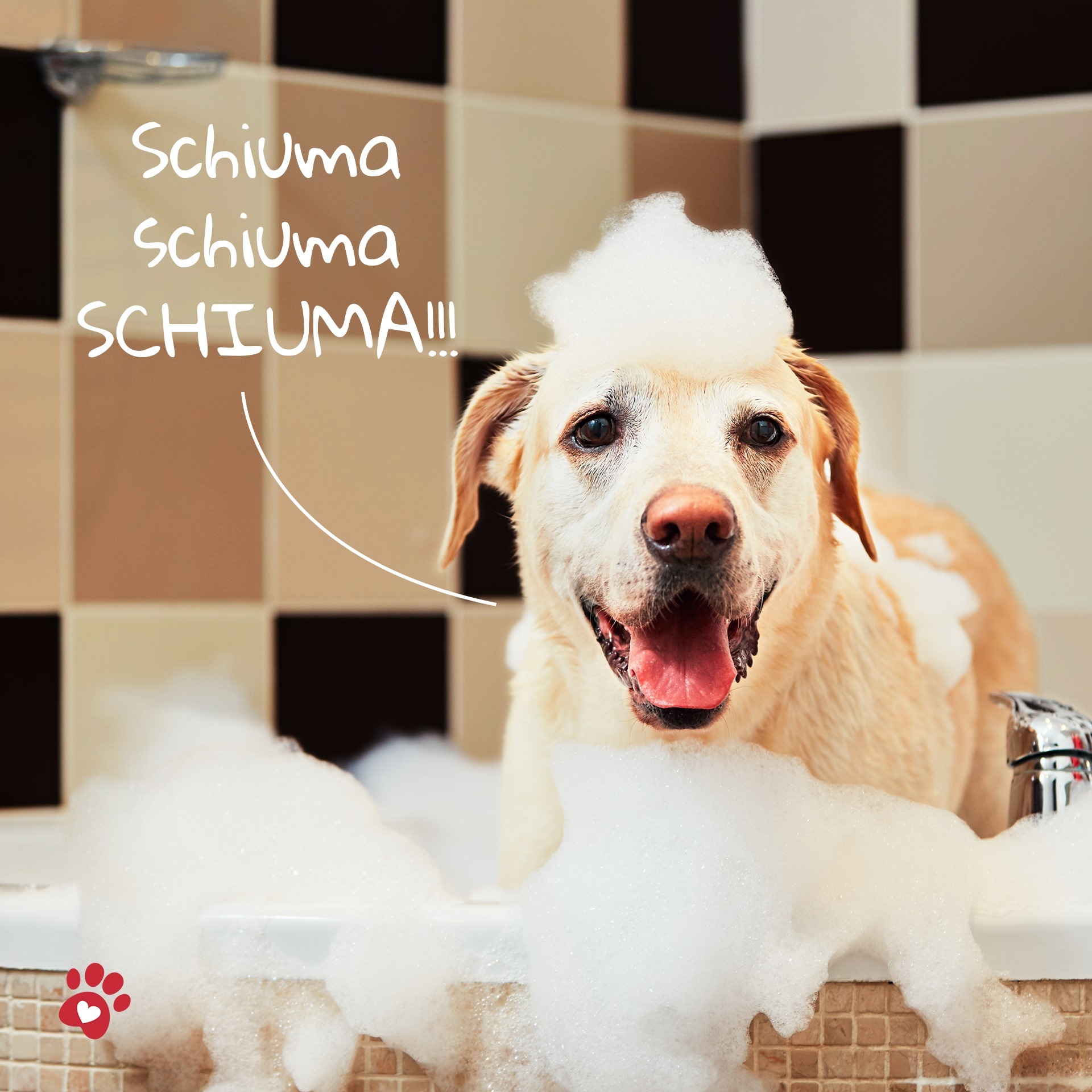 Orme Naturali 草本驅蝨洗毛水 5L EXP:03/2026