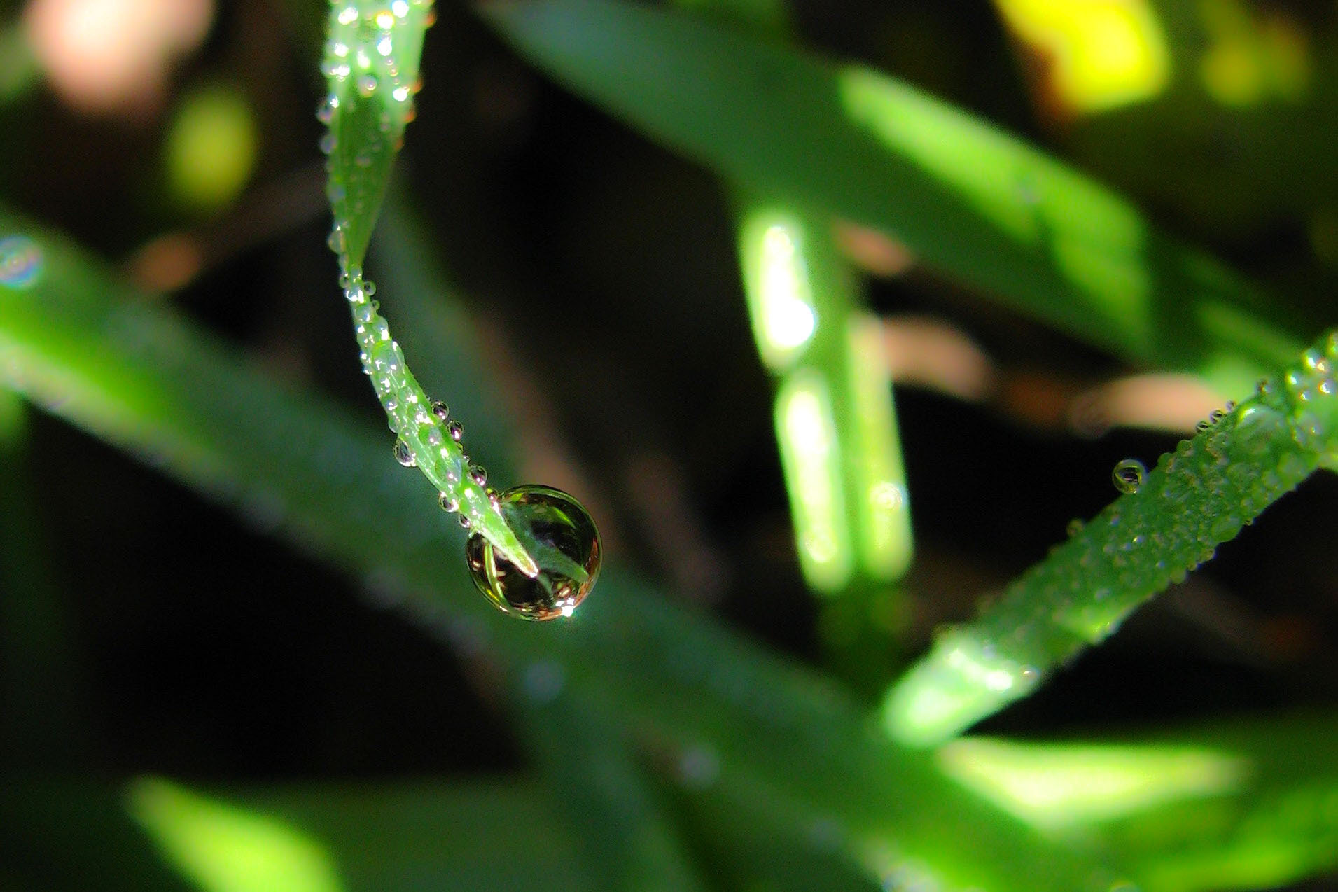 皮膚乾燥如何保濕？認識保濕黃金重點觀念與原理！