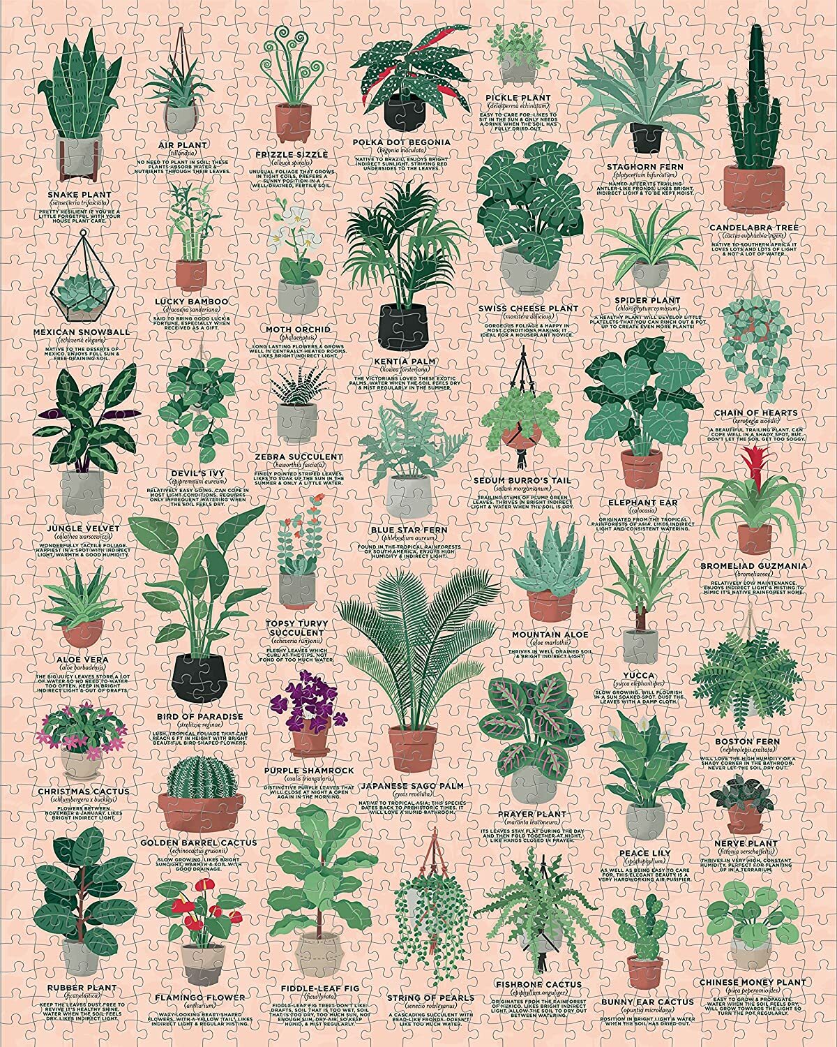 【RIDLEY’S】植物1000片拼圖