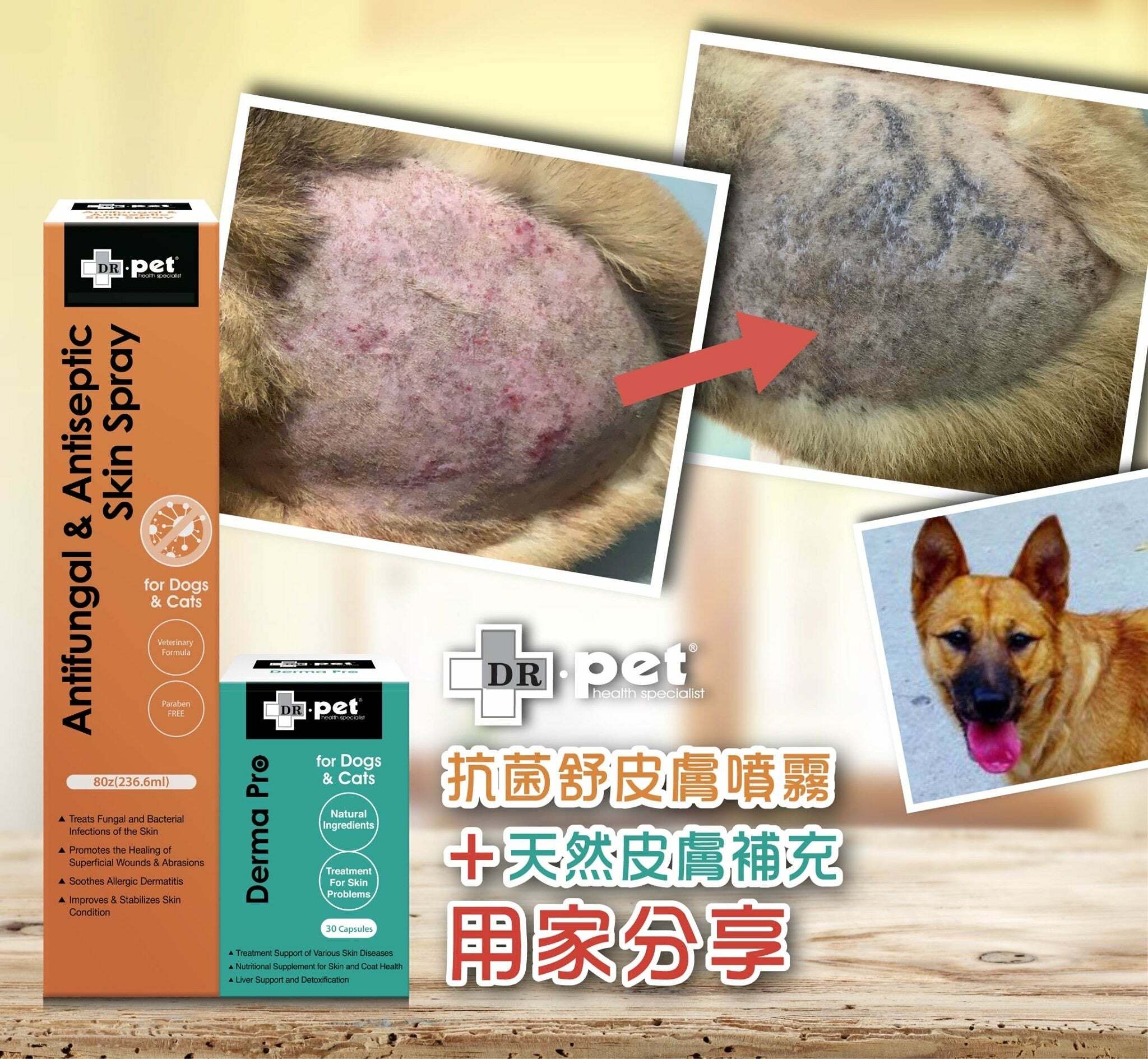 DR. Pet 抗菌舒皮膚噴霧 (8oz/236.6ml)