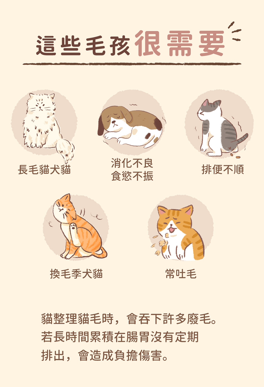 Blue Bay 倍力® 億菌排毛粉 50g (貓狗適用)