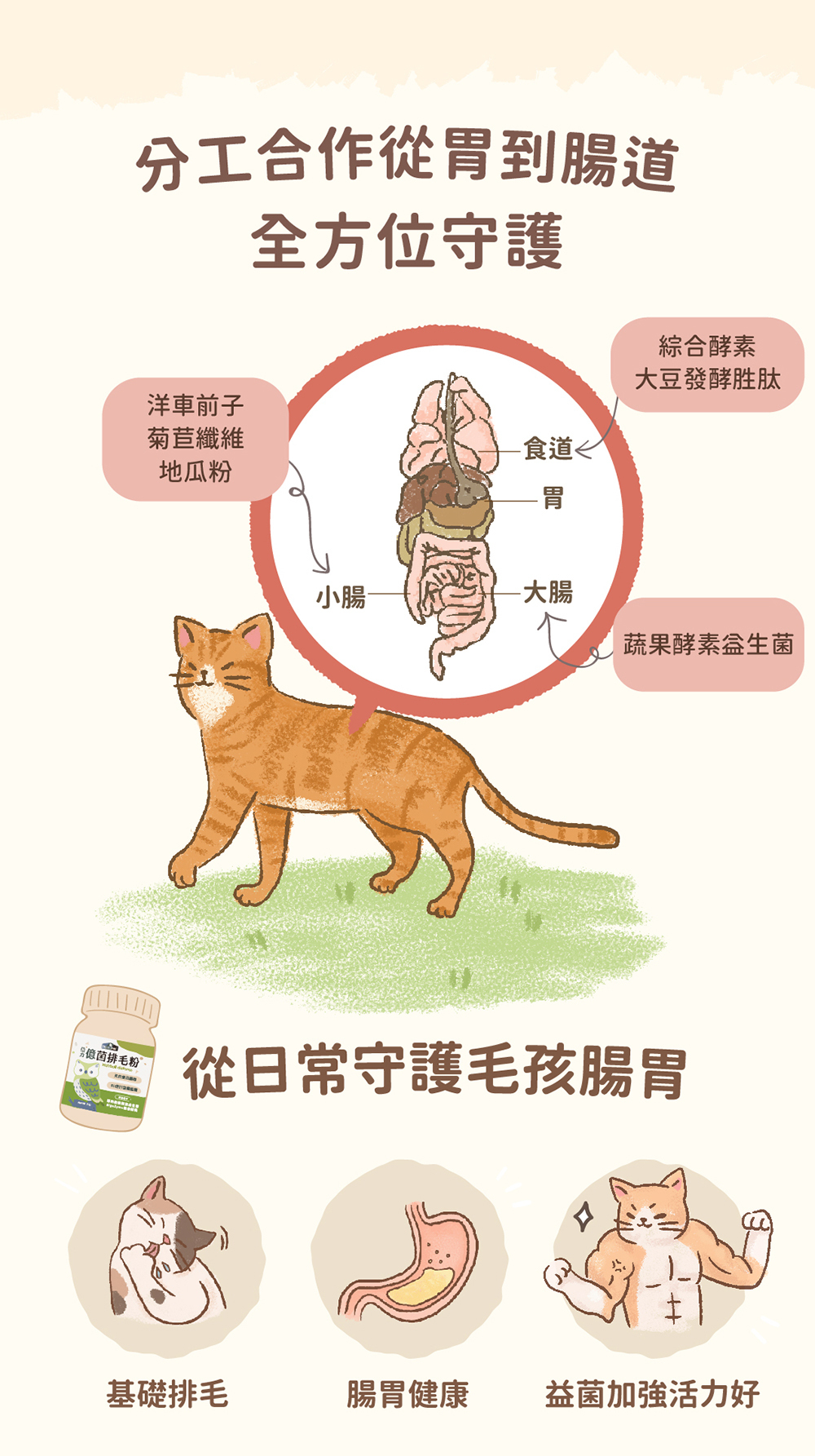 Blue Bay 倍力® 億菌排毛粉 50g (貓狗適用)