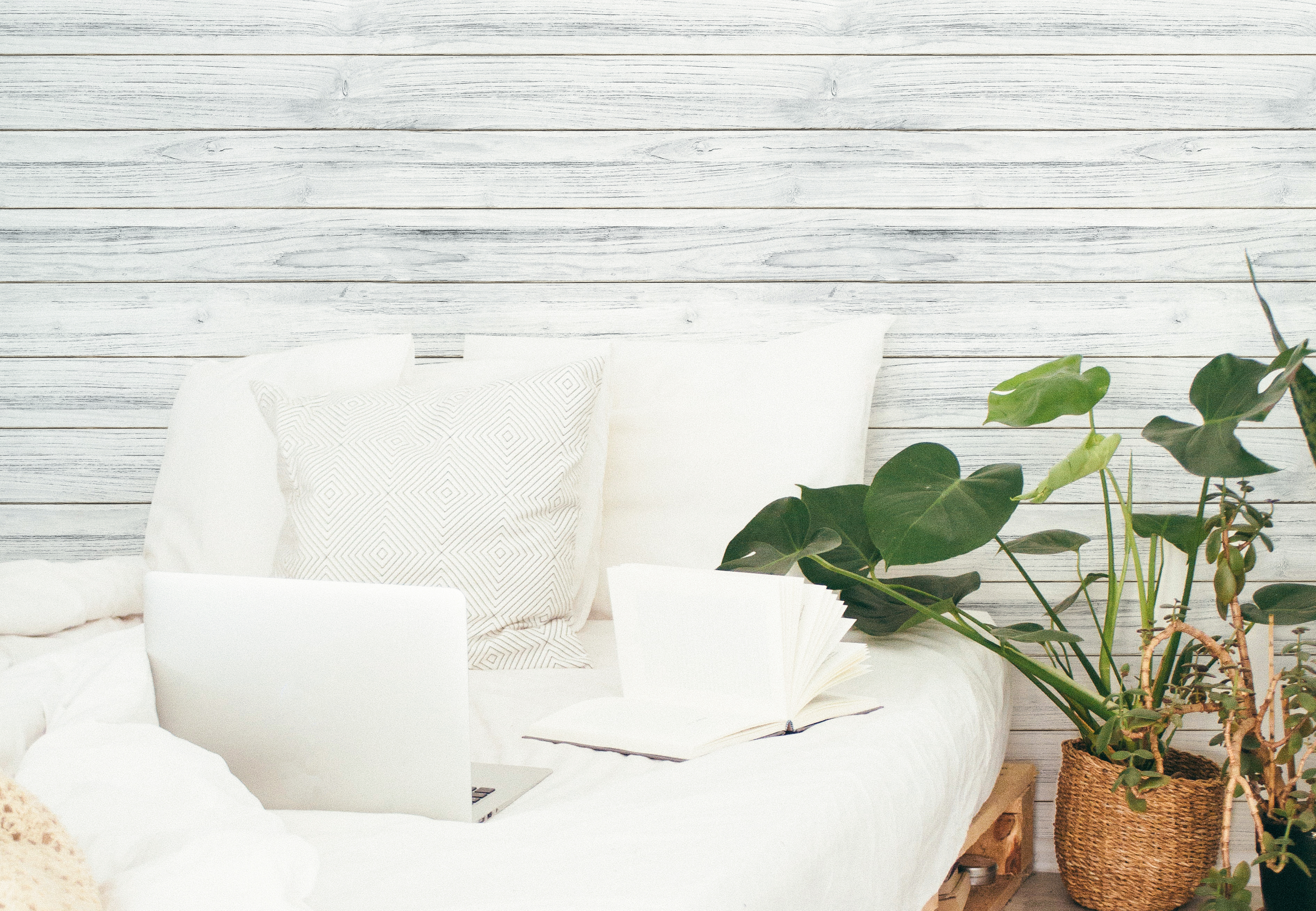 美牆壁布//挪威白檜(約1.5坪/捲)