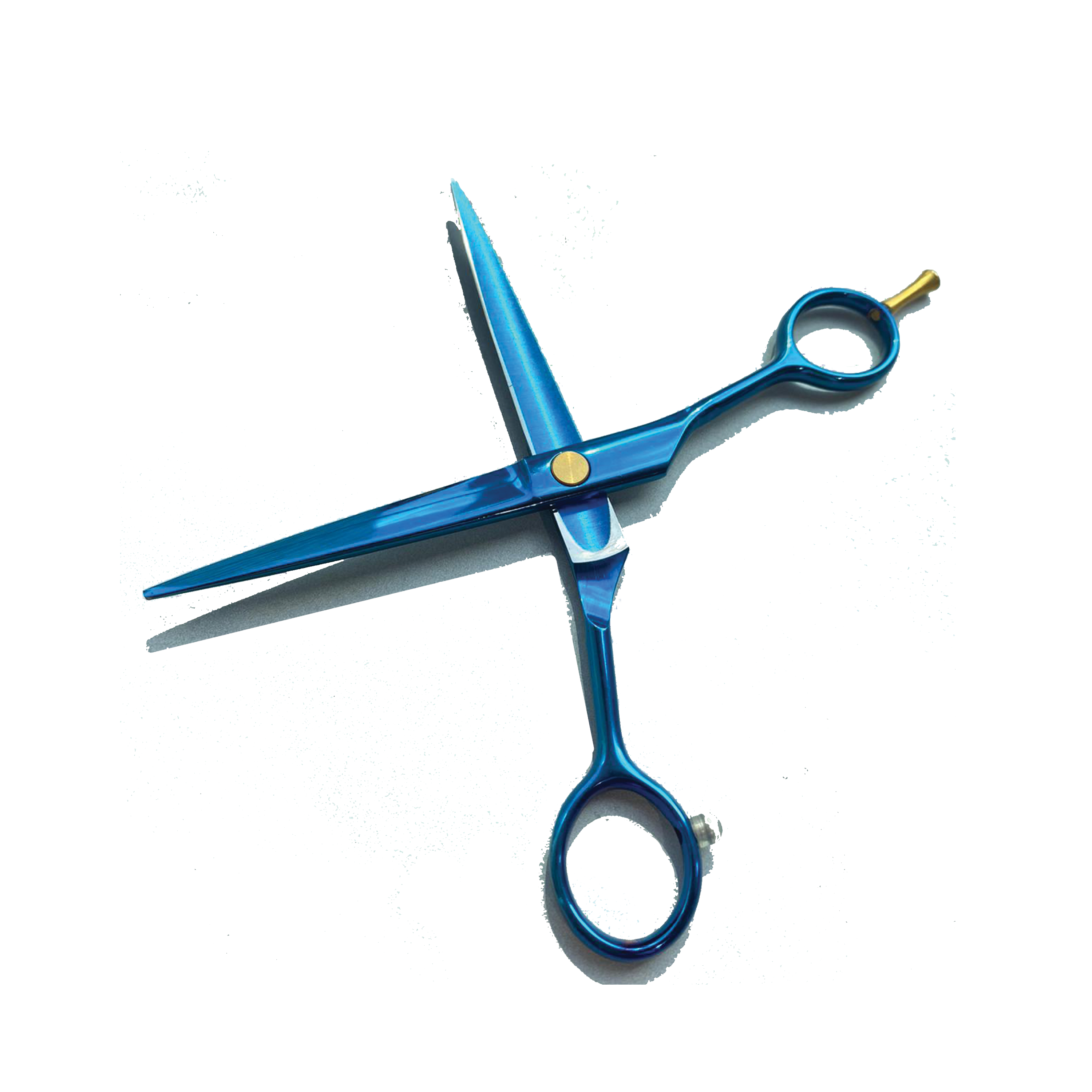 Stainless Steel Shear