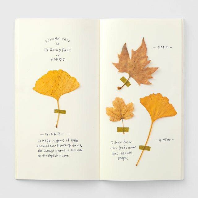 〔標準〕025 MD奶油紙｜日本 Traveler’s Notebook