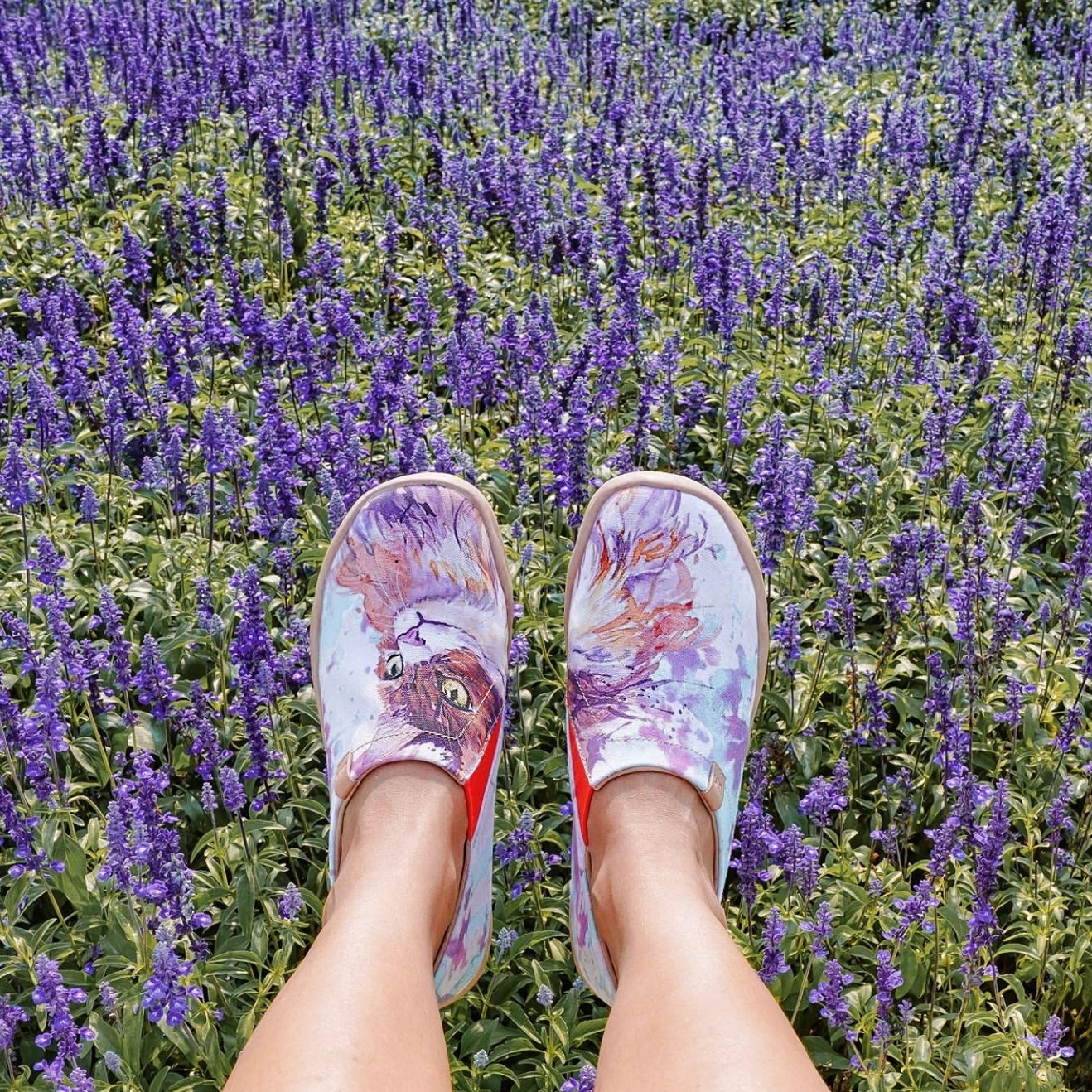 【 Uin 】西班牙原創設計 | 緬因貓 女鞋 彩繪鞋 休閒鞋 懶人鞋