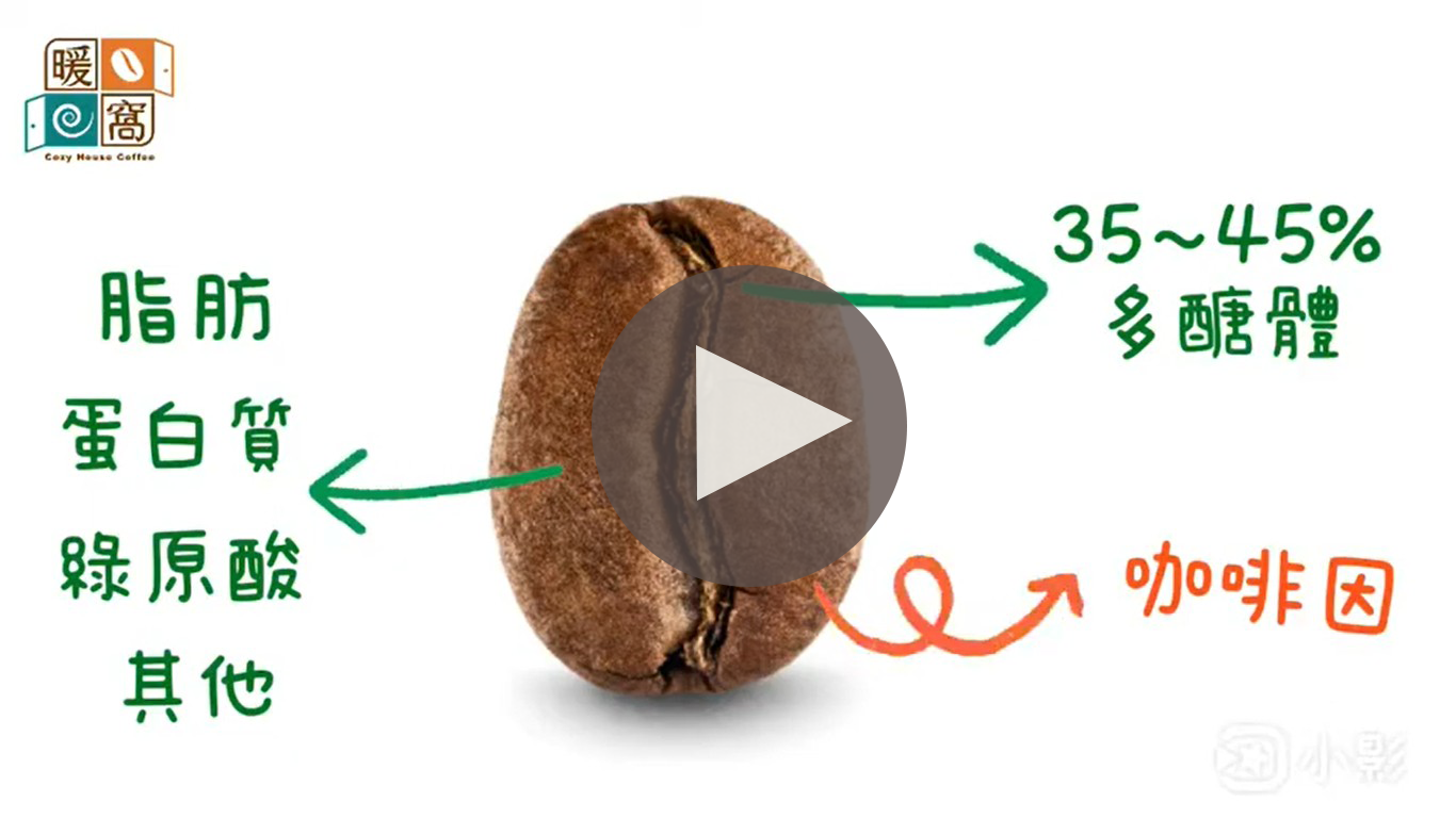 淺談咖啡因｜咖啡知識學習｜暖窩咖啡｜咖啡教學｜咖啡證書