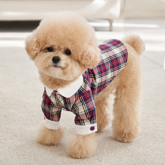 預科生 學院風-紅格襯衫Red-It’s sunny outside