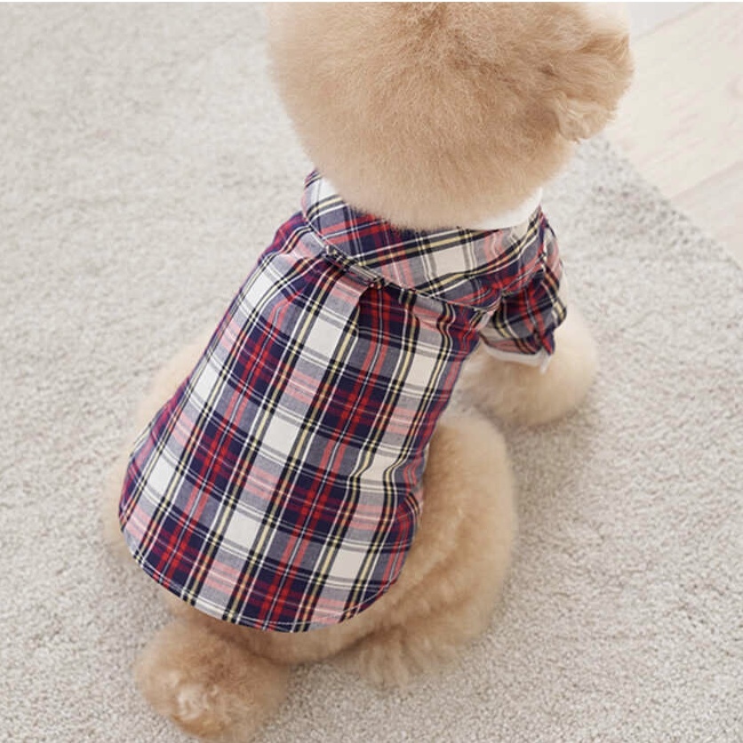 預科生 學院風-紅格襯衫Red-It’s sunny outside