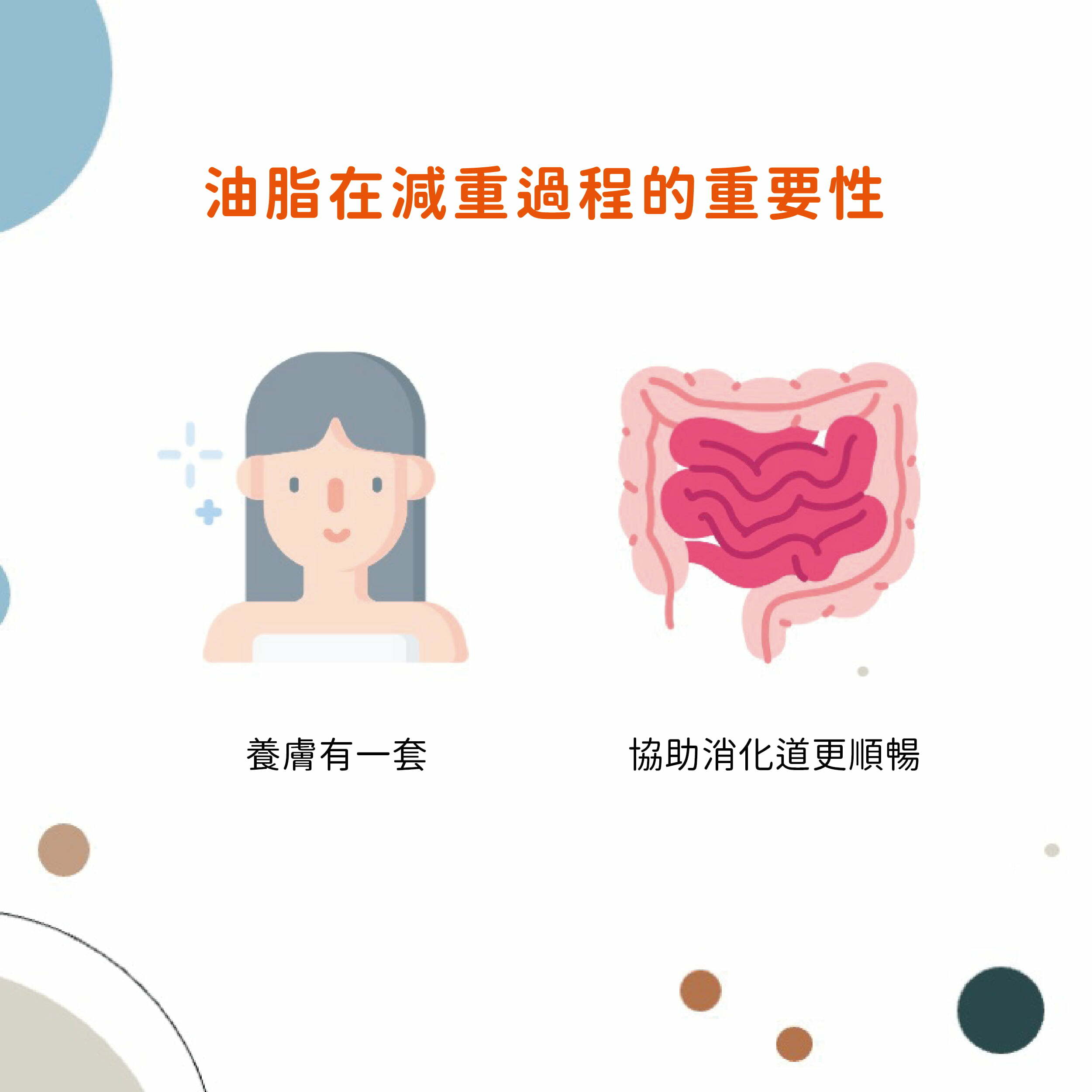 油脂在減重過程的重要性