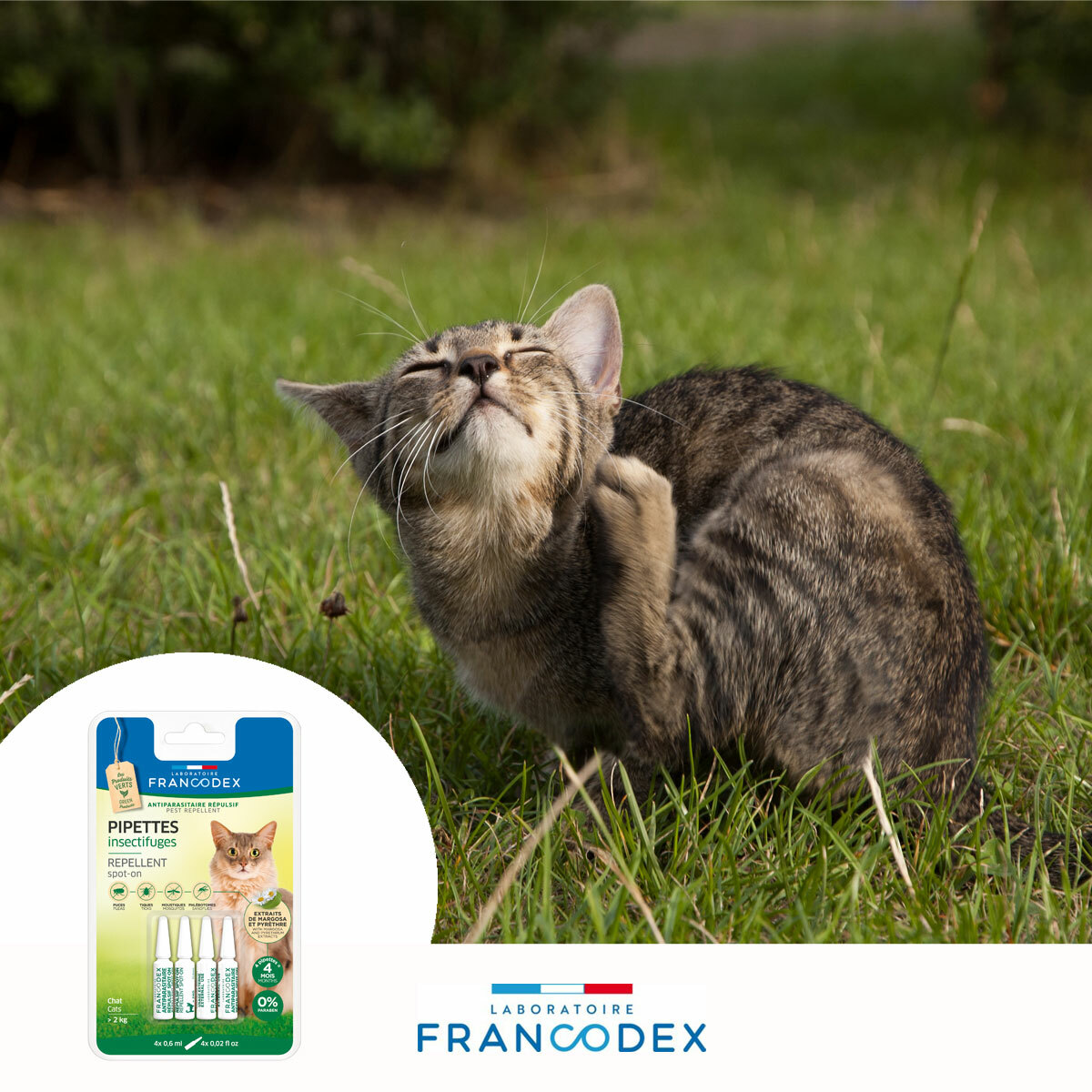 Francodex 貓用 天然驅蝨滴頸劑 4pcs（美容護理）