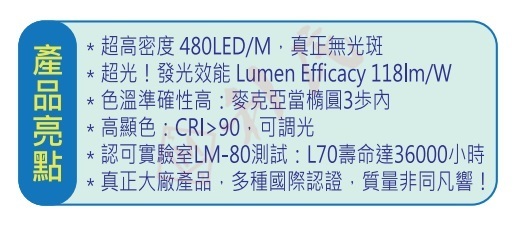 TED 無光珠LED燈帶 12V (5米裝)