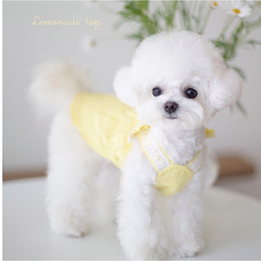 OPAAAP 檸檬水蕾絲上衣 （檸檬黃）