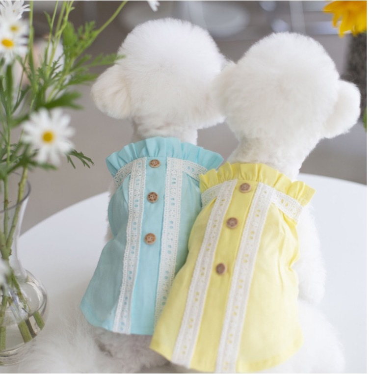 OPAAAP 檸檬水蕾絲上衣 （天空藍）