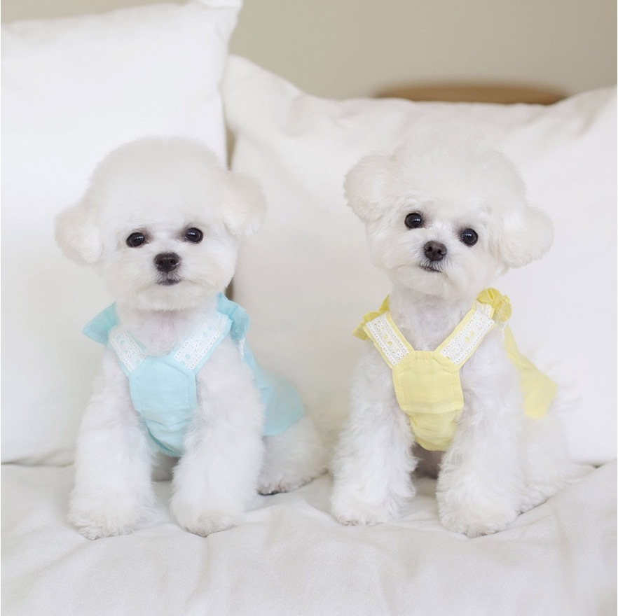 OPAAAP 檸檬水蕾絲上衣 （天空藍）