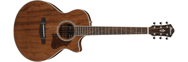 Ibanez Ibanez AE245JR 旅行吉他 胡桃木 面單 — 三峽吉他 / Bass｜YA! 玩音樂