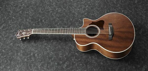 Ibanez Ibanez AE245JR 旅行吉他 胡桃木 面單 第 2 張圖片｜三峽吉他 / Bass