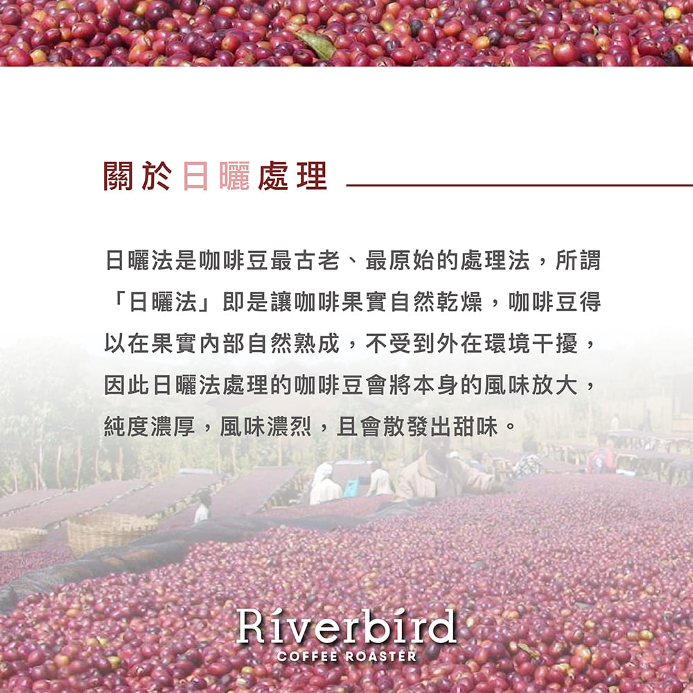 【Riverbird】《225g》衣索比亞 罕貝拉G1 中淺焙