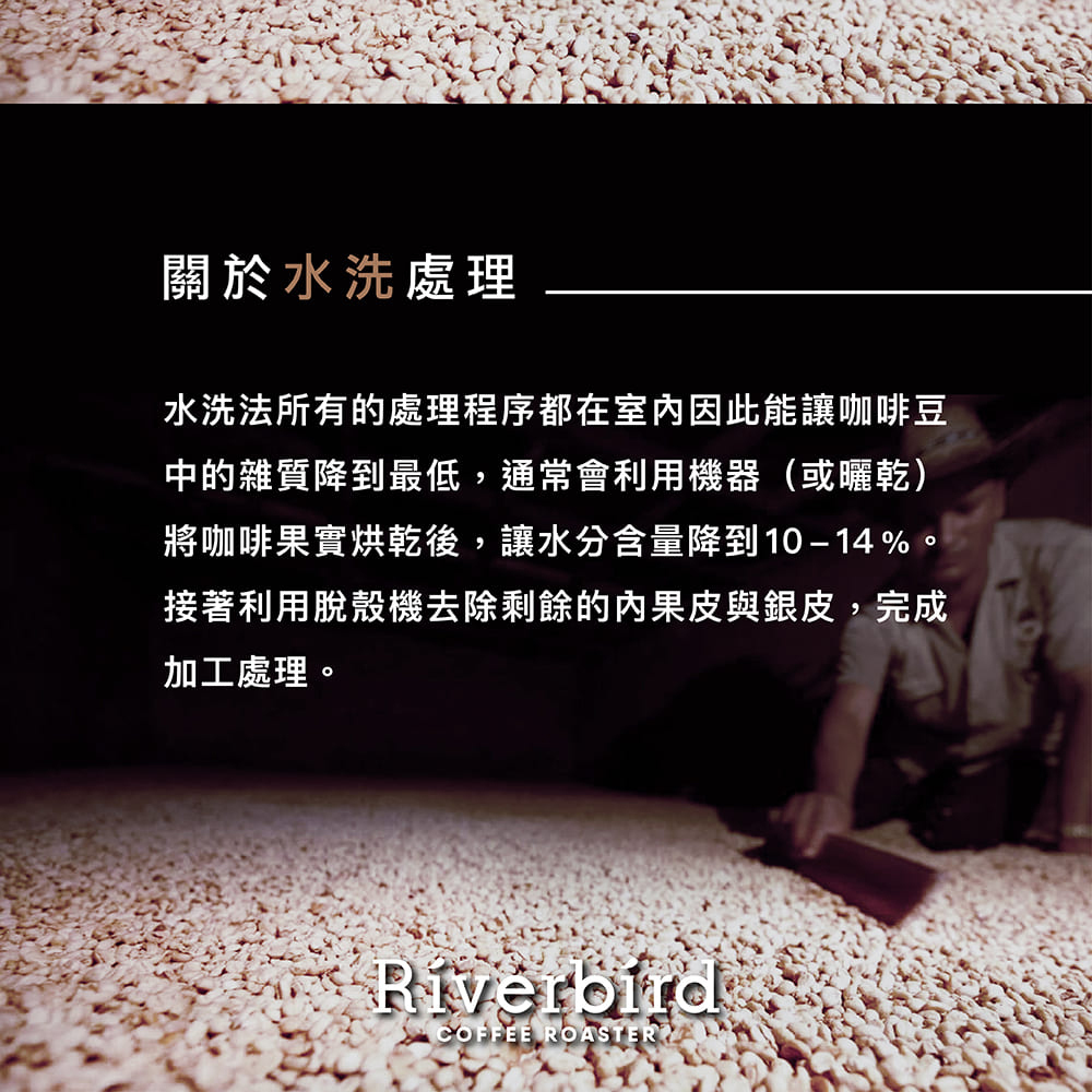 【Riverbird】《225g*4》微風薰森2磅組