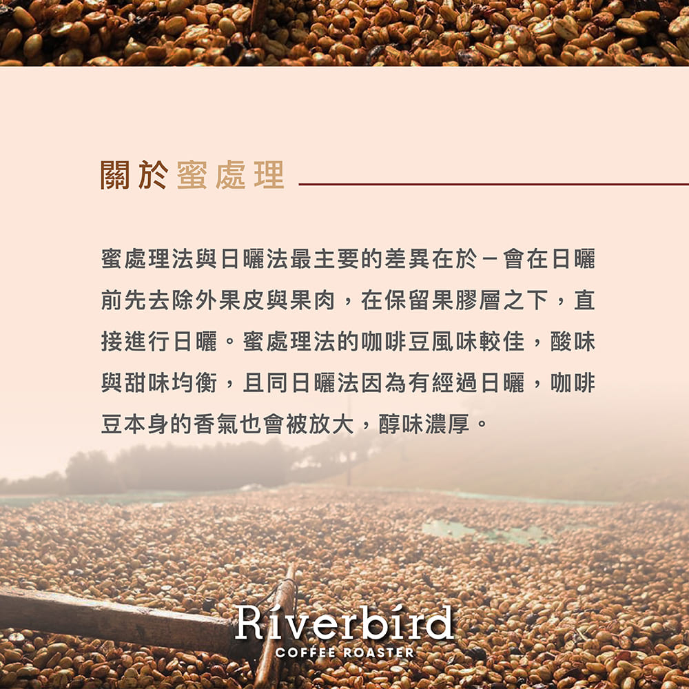 【Riverbird】《225g》印尼女權 頂級曼特寧 中深焙/蜜處理
