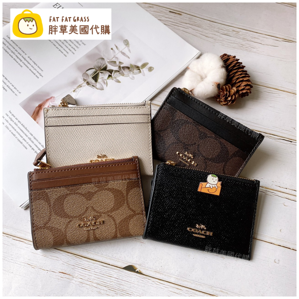 【現貨】COACH Mini Skinny Id Case 鑰匙包 零錢包 手拿包 小錢包 卡夾 卡包 女生皮夾