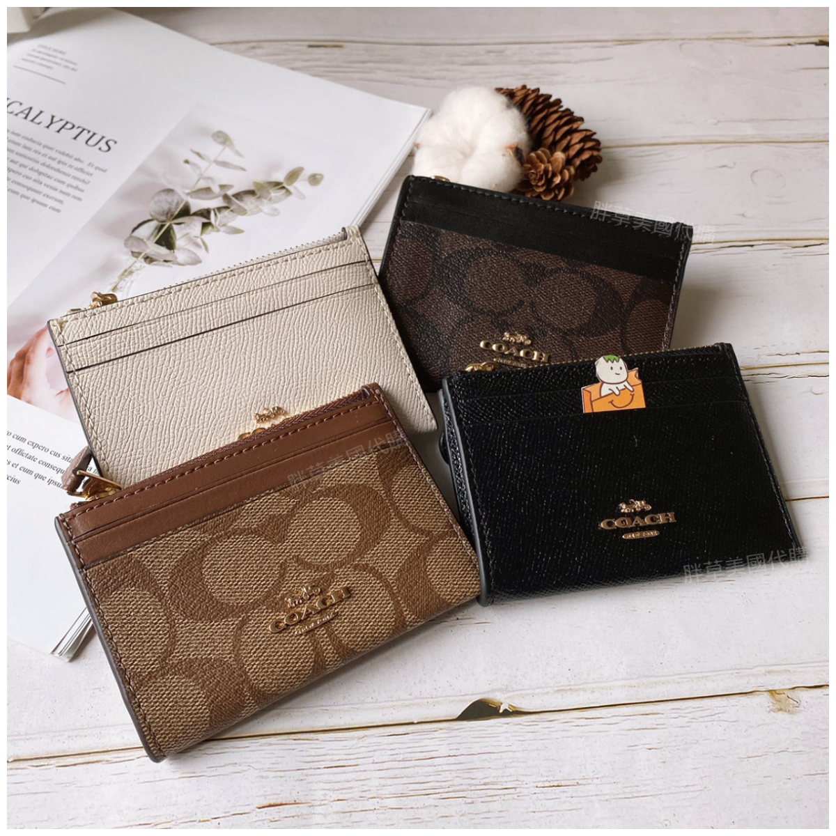 【現貨】COACH Mini Skinny Id Case 鑰匙包 零錢包 手拿包 小錢包 卡夾 卡包 女生皮夾