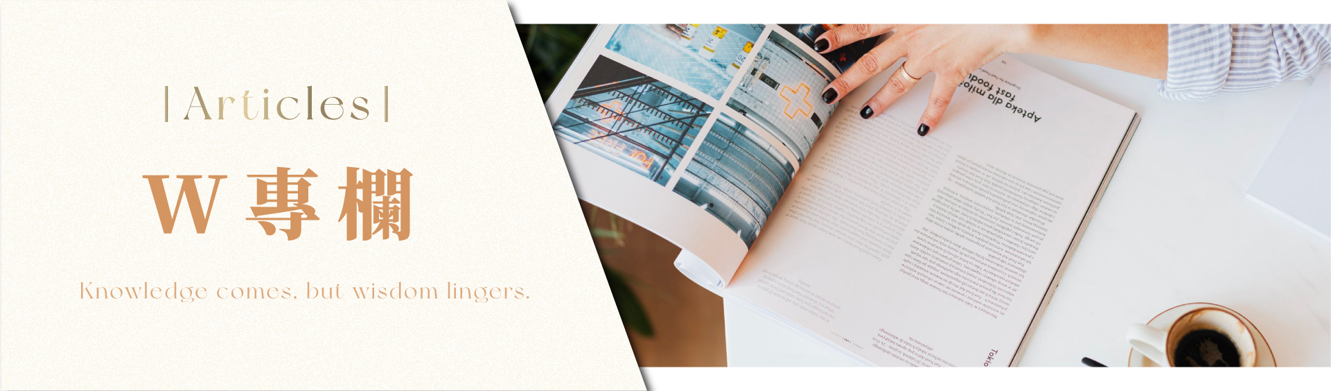 W專欄