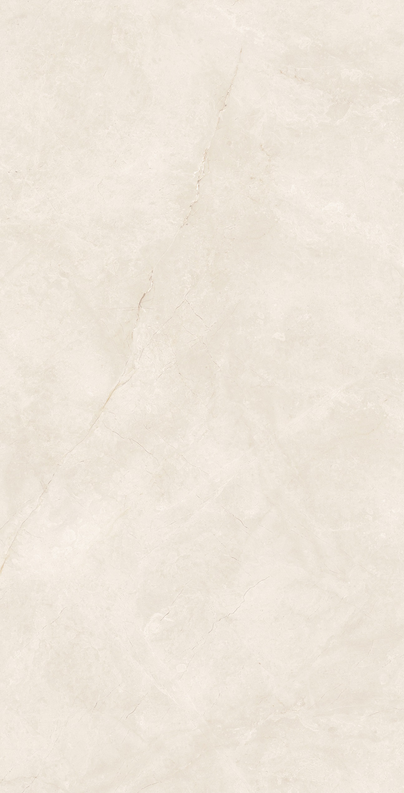 EOU61205