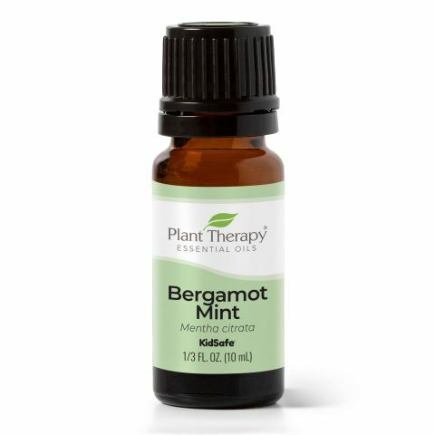 Plant Therapy 佛手柑薄荷 Bergamot Mint精油 (兒童安全) - 10ml