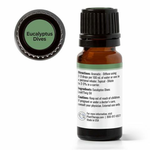 Plant Therapy 薄荷尤加利 Eucalyptus Dives 精油 (兒童安全) - 10ml