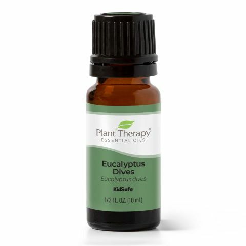 Plant Therapy 薄荷尤加利 Eucalyptus Dives 精油 (兒童安全) - 10ml
