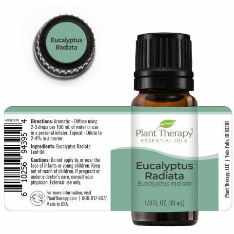 Plant Therapy 澳洲尤加利 Eucalyptus Radiata 精油- 10ml