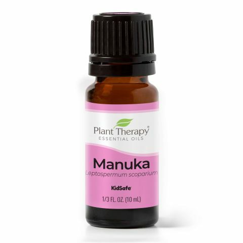 Plant Therapy 麥盧卡Manuka精油 (兒童安全）- 10ml