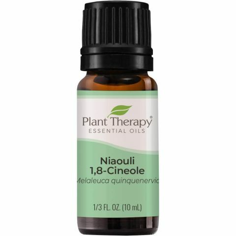 Plant Therapy 綠花白千層 Niaouli 1,8-Cineole 精油 - 10ml