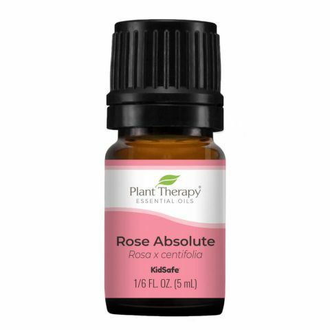 Plant Therapy 玫瑰絕對/玫瑰原精 Rose Absolute 精油 (兒童安全)-5ml
