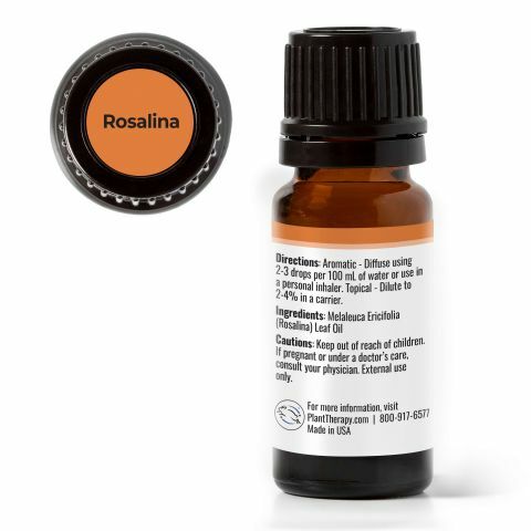 Plant Therapy 沼澤茶樹 Rosalina 精油（兒童安全）-10ml