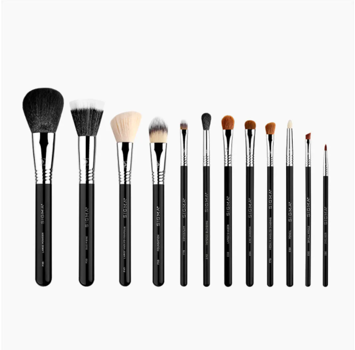SIGMA ESSENTIAL BRUSH SET 經典刷具12件組