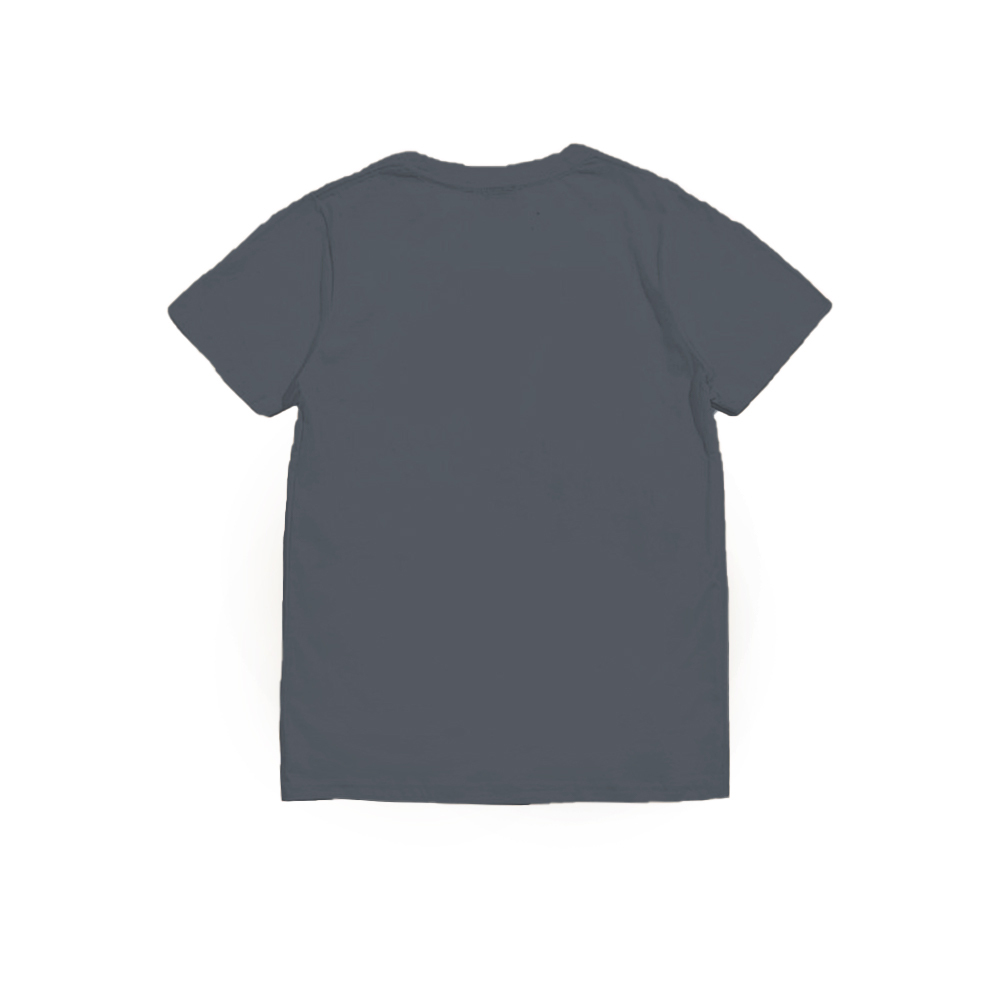 XCTRL 浮世繪隱士短T-灰藍