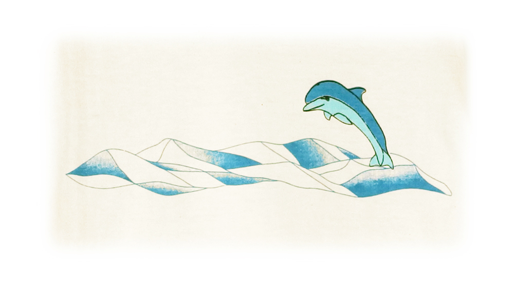 Tee 短袖中童小海豚