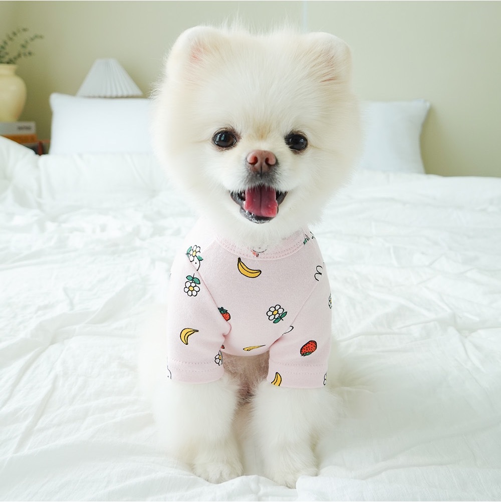 Noutti Miffy & Friends 果物T-Shirt