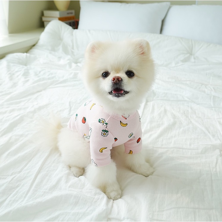 Noutti Miffy & Friends 果物T-Shirt