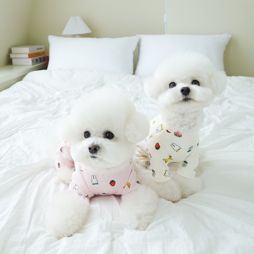 Noutti Miffy & Friends 果物連身褲