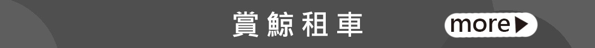 旅遊票券 賞鯨 租車