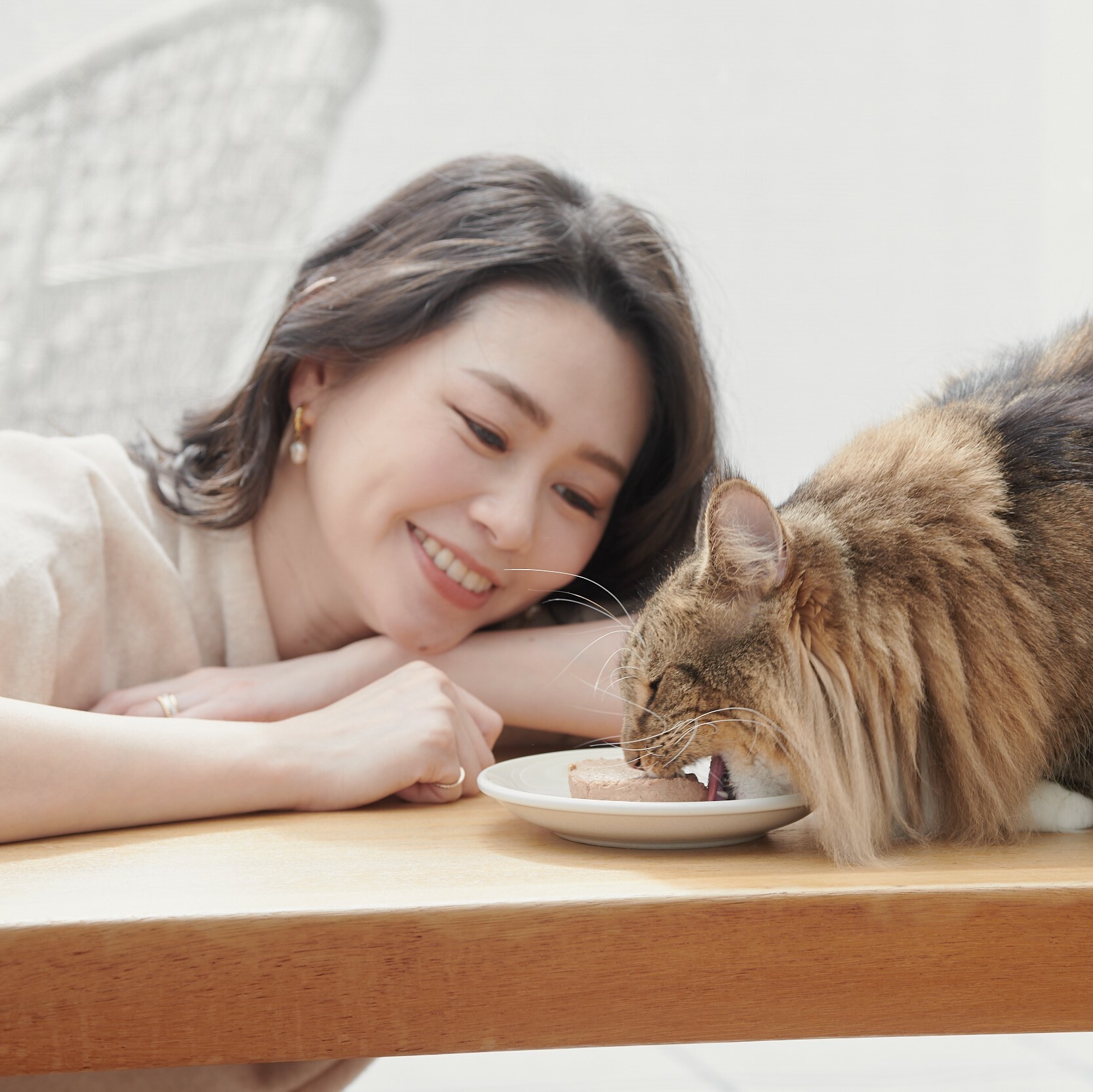 貓爾地夫名人開箱